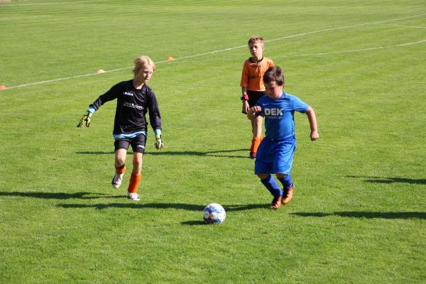 IMG_3528.JPG - 