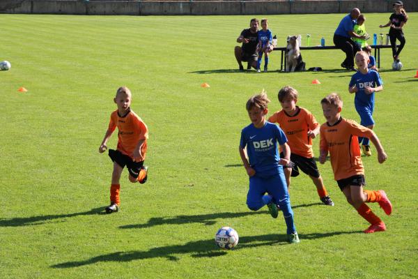 IMG_3530.JPG - 