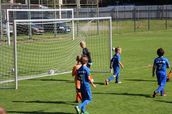 IMG_3534.JPG - 