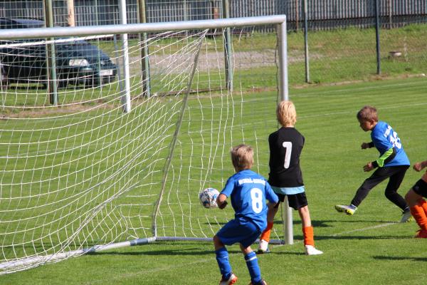 IMG_3541.JPG - 