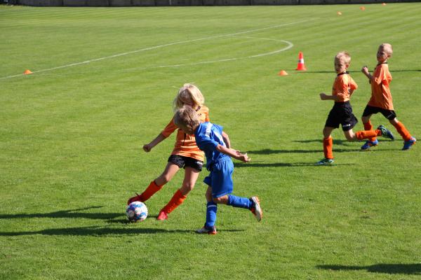 IMG_3545.JPG - 