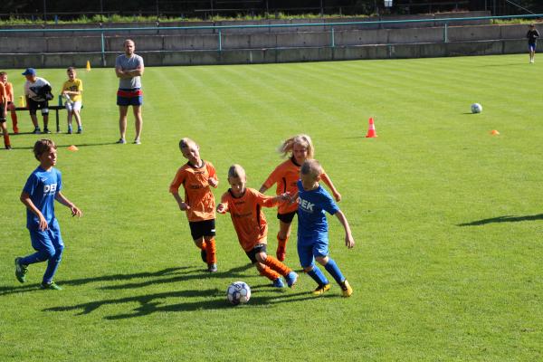 IMG_3547.JPG - 