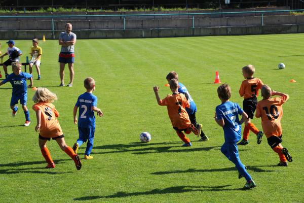 IMG_3549.JPG - 