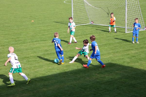 IMG_4955.JPG - 