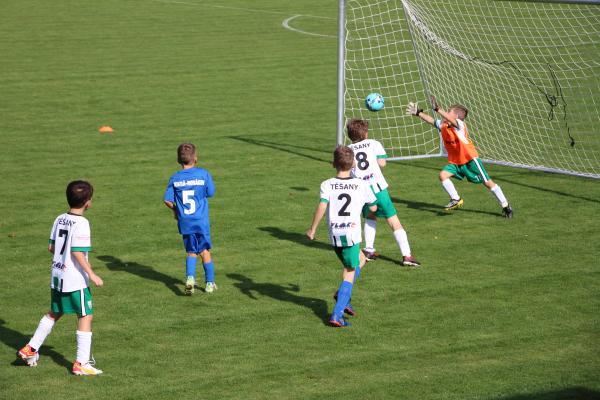 IMG_4976.JPG - 