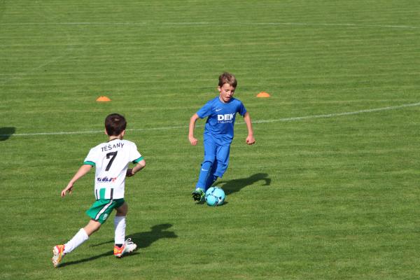 IMG_5004.JPG - 