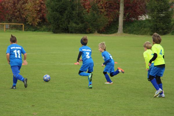 IMG_6255.JPG - 