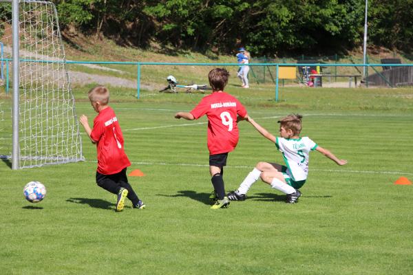IMG_7441.JPG - 