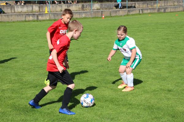 IMG_7526.JPG - 