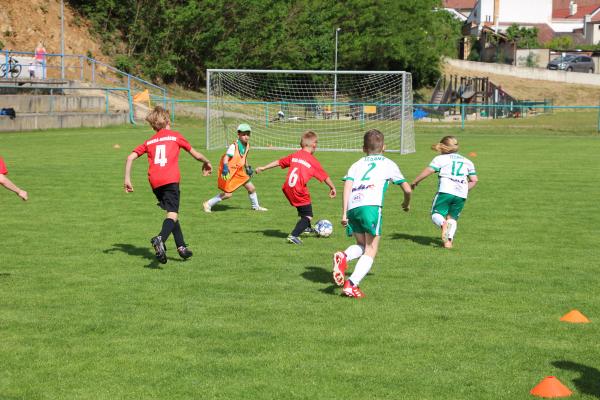 IMG_7606.JPG - 