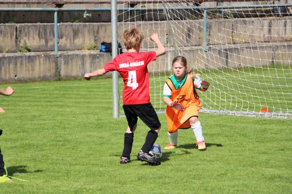 IMG_7755.JPG - 