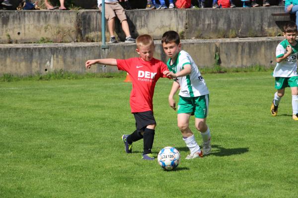 IMG_7807.JPG - 