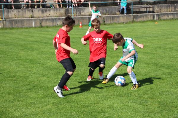IMG_7901.JPG - 