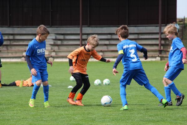 IMG_7239.JPG - 
