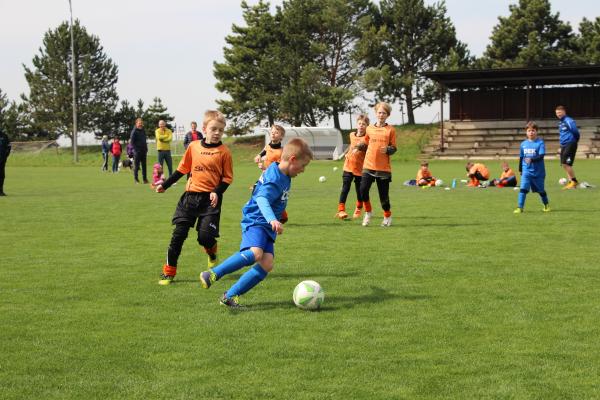 IMG_7277.JPG - 