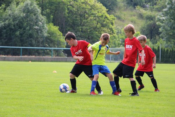 IMG_8643.JPG - 