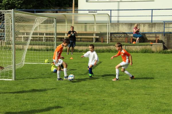 IMG_9704.JPG - 