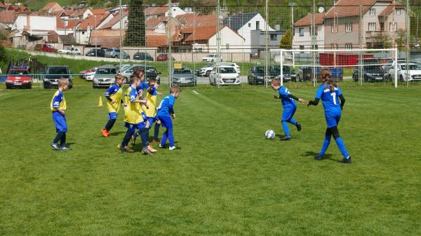 P2050189.JPG - 