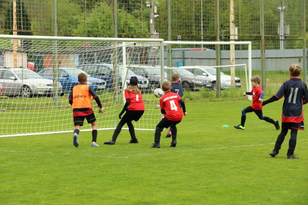 IMG_7793.JPG - 