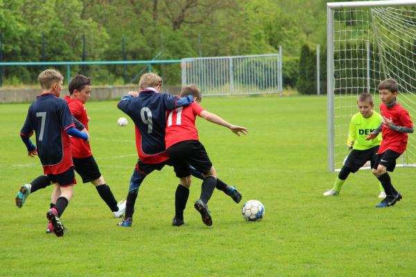 IMG_7819.JPG - 