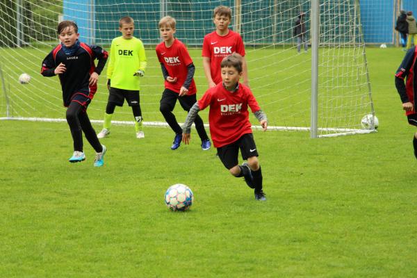 IMG_7875.JPG - 