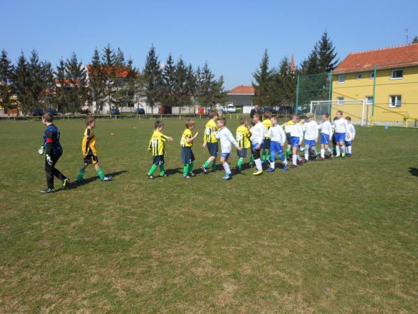Pripravka_2013-1z._004.jpg - 