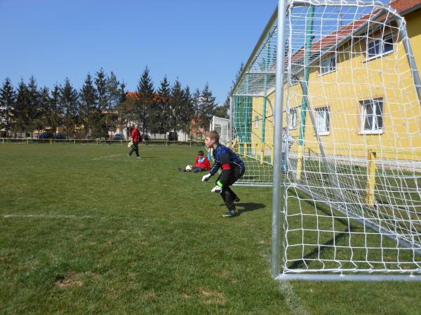 Pripravka_2013-1z._006.jpg - 