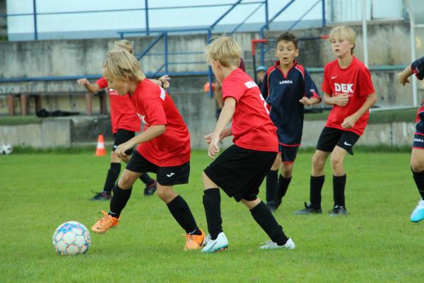 IMG_2060.JPG - 