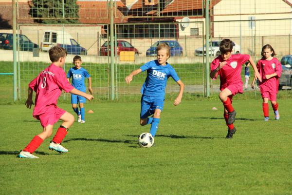 IMG_2445.JPG - 