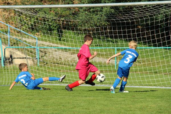 IMG_2658.JPG - 
