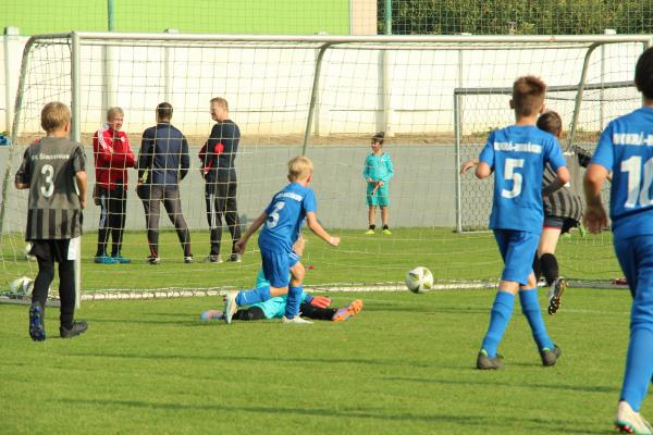 IMG_4171.JPG - 