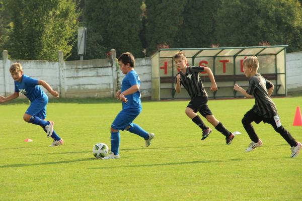 IMG_4208.JPG - 