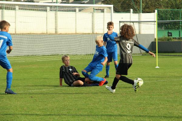 IMG_4233.JPG - 