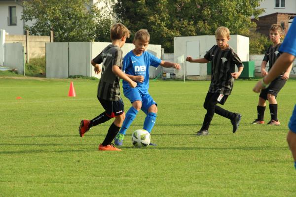IMG_4243.JPG - 