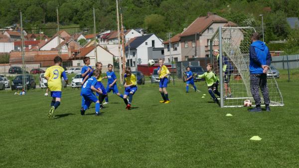 P2050825.jpg - 