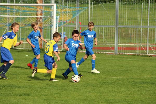 IMG_7233.JPG - 