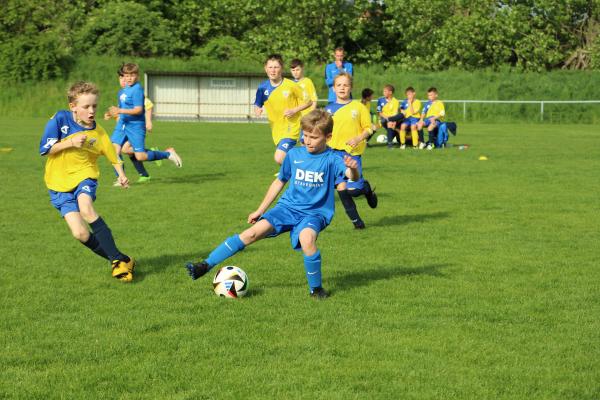IMG_7293.JPG - 