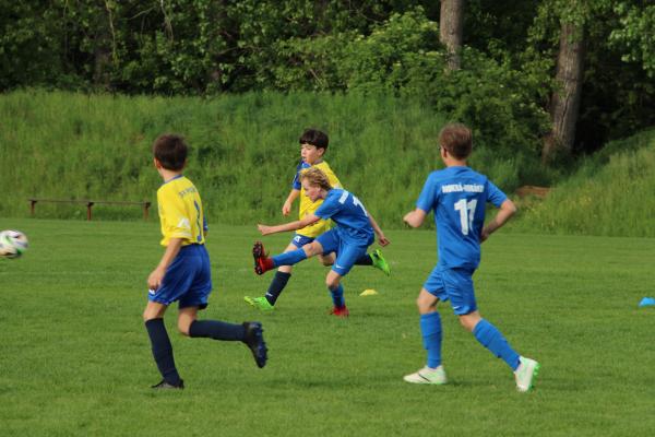 IMG_7459.JPG - 