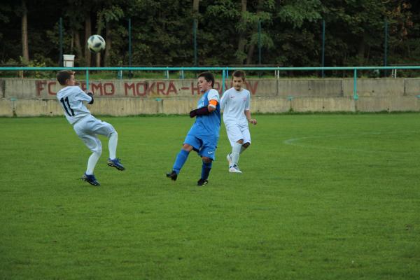 IMG_8623.JPG - 