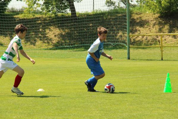 IMG_1739.JPG - 
