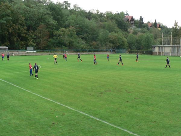 P1120096.JPG - 
