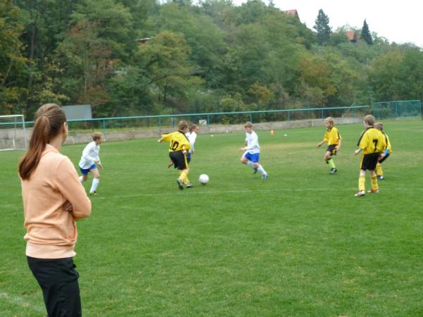 P1010981.JPG - 