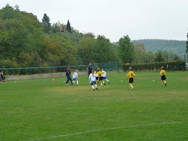 P1010983.JPG - 