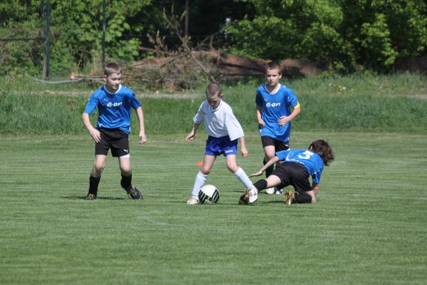 IMG_2583.JPG - 