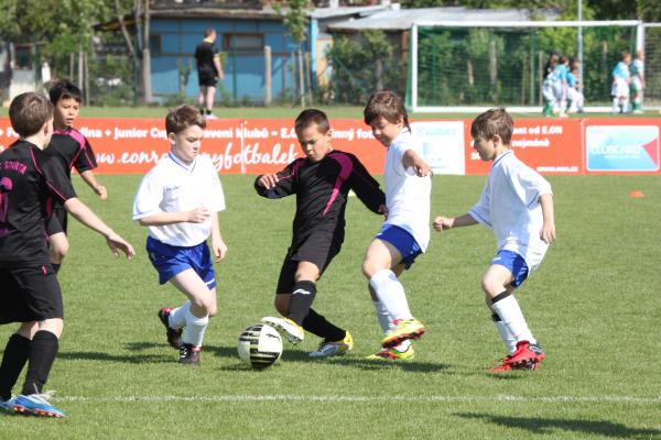 IMG_2593.JPG - 
