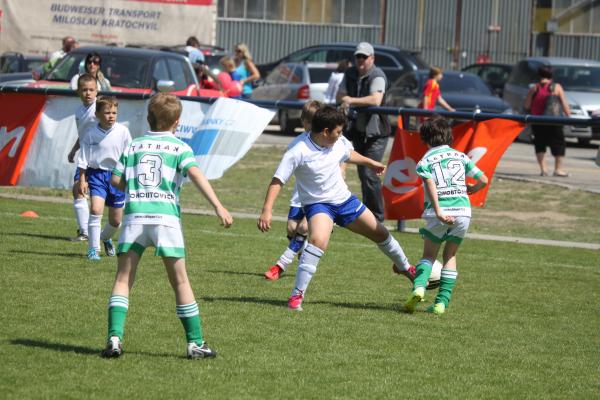 IMG_2597.JPG - 