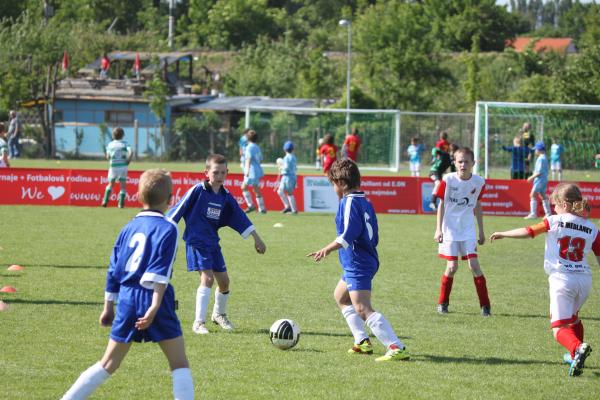 IMG_2618.JPG - 