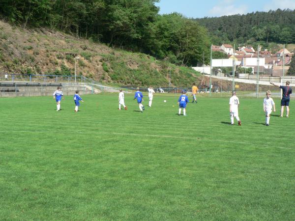 P1120337.JPG - 