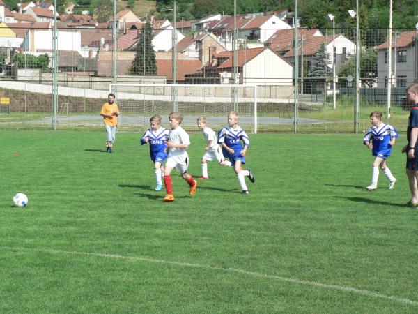 P1120342.JPG - 