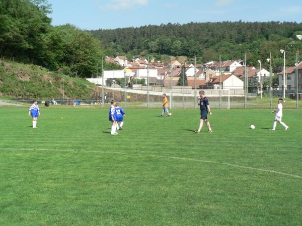 P1120345.JPG - 